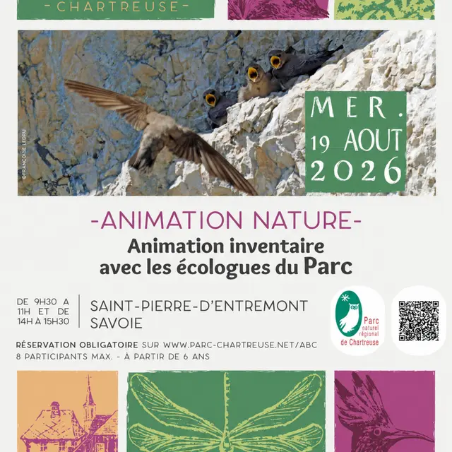 affiche animation