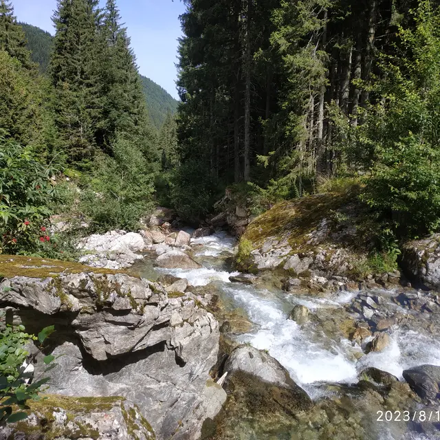 Espace Naturel Sensible de la forêt du Bout et Combe Grasse_Le Haut-Bréda