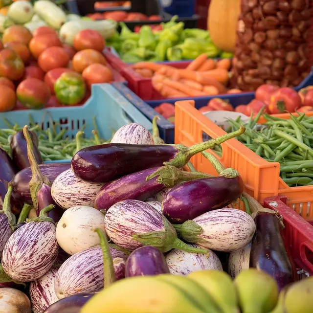 Marché de Volonne_Volonne