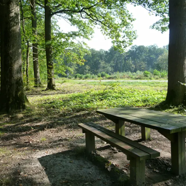 Forêt de Marly-le-Roi