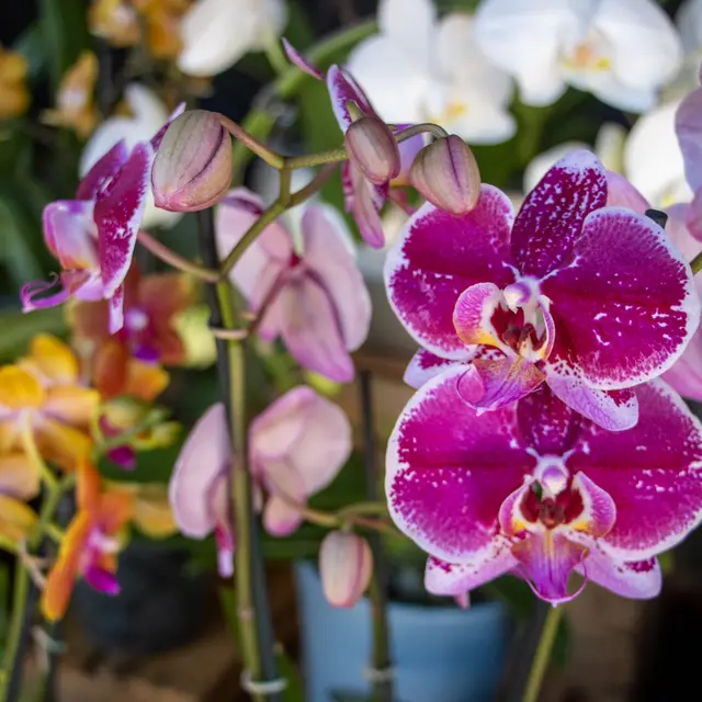 Nature en famille_Roquebrune-sur-Argens