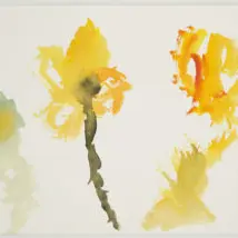 Les mini-mercredis : Un jardin extraordinaire_Arles