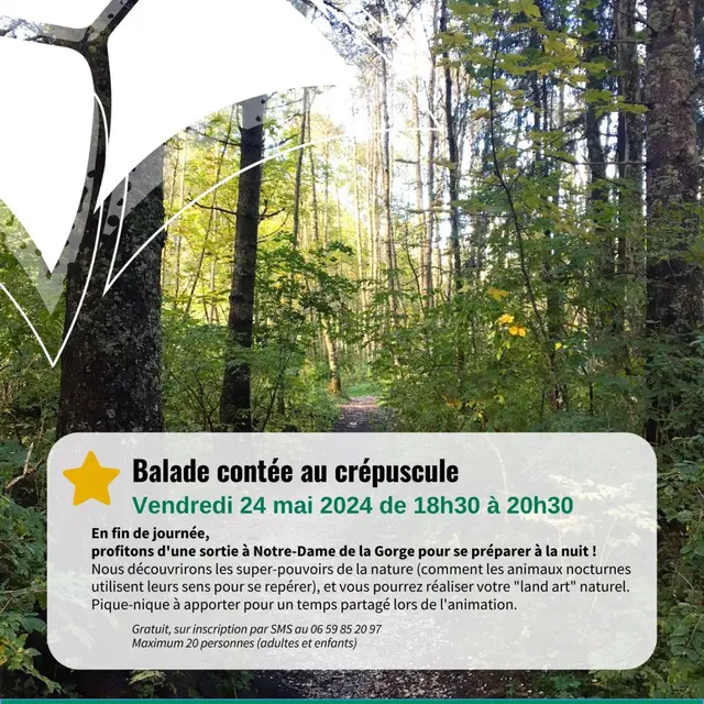 Affiche Balade crépusculaire