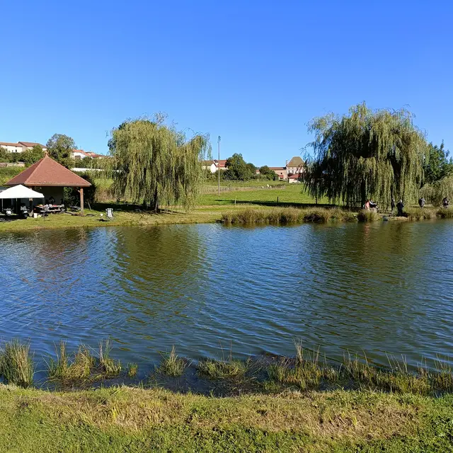 Aire de pique-nique de l'Etang Municipal_Saint-Martin-d'Estréaux