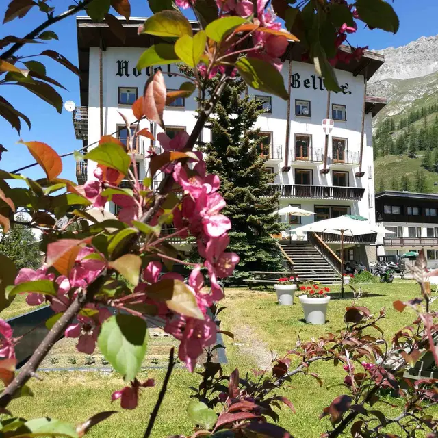 Façade extérieur en été - Hôtel Bellier
