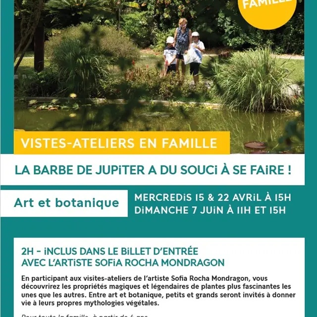 Visite-atelier famille au Val Rahmeh : la Barbe de Jupiter a du Souci à se faire !_Menton