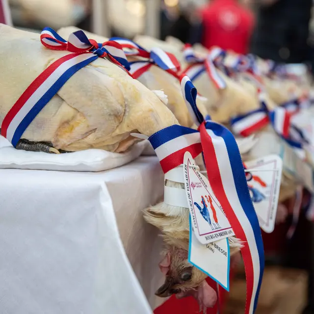 Bourg-en-Bresse destinations_Glorieuses_Bresse_002©MorganeMonneret (5)