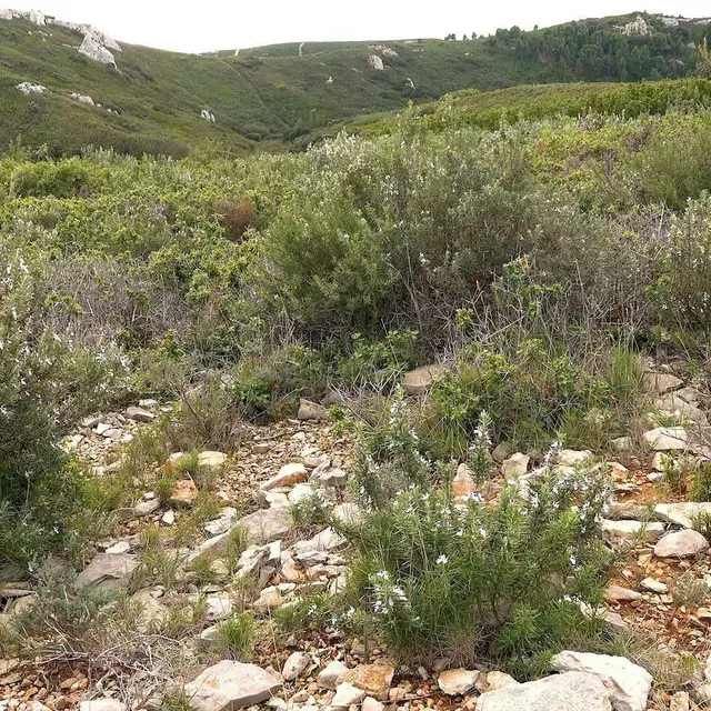 LES GARRIGUES DÉVOILENT LEURS SECRETS… MUSÉE ITINÉRANT