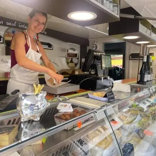 le_court_circuit_de_sophie