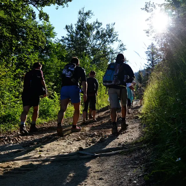 Sentier pédestre Boucle du Fay