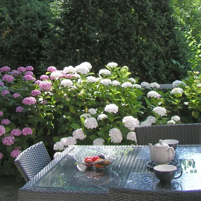 Terrasse Le Bellevue