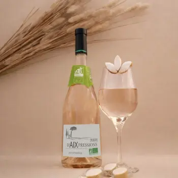 Roy René, l’Expérience Gourmande en Provence au Vignoble du Roy René_Lambesc