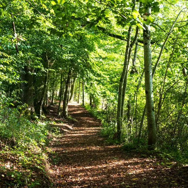 Plan d'eau de St Clément