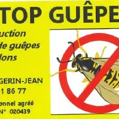 Destruction nids de guêpes