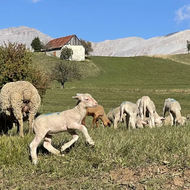 GR®69 - La Routo®_Saint-Jurs