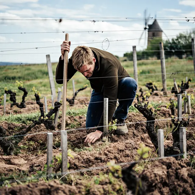 Brice Laffond dans le Clos de Londres