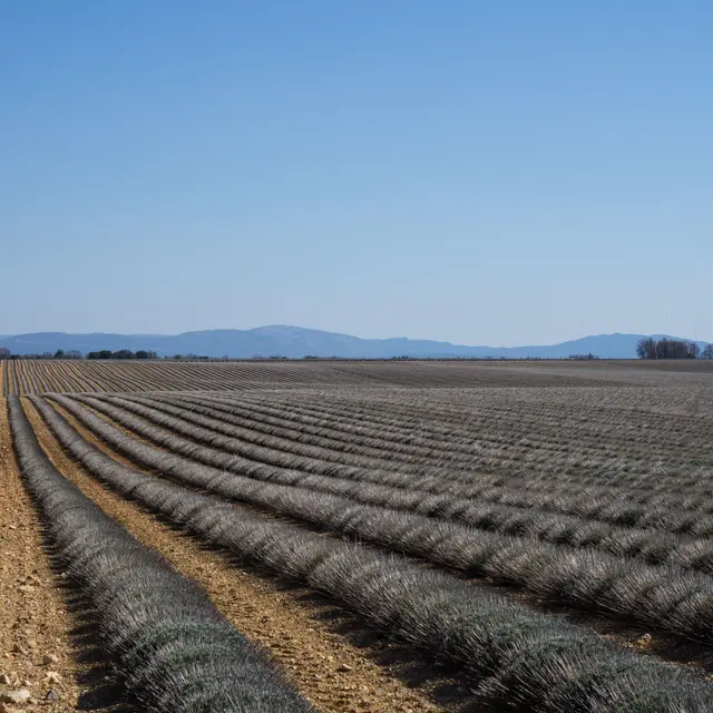 Visite libre du village de Valensole