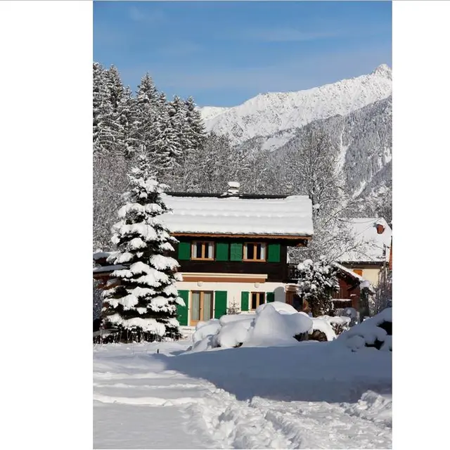 Chalet le Grizzly