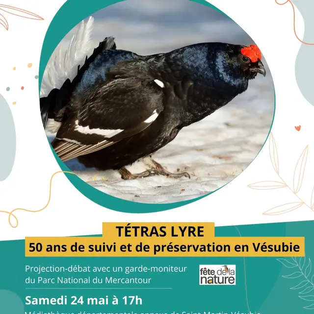 Projection-débat avec un garde-moniteur du Parc National du Mercantour_Saint-Martin-Vésubie