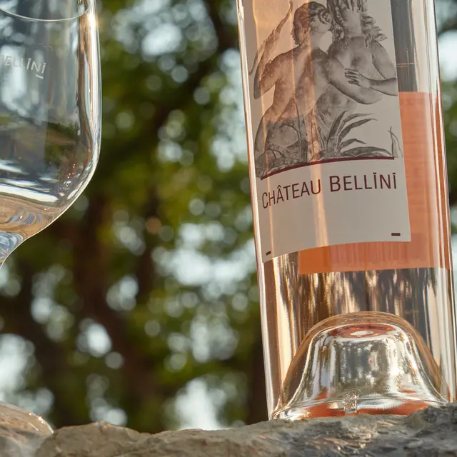 Château Bellini - Brignoles