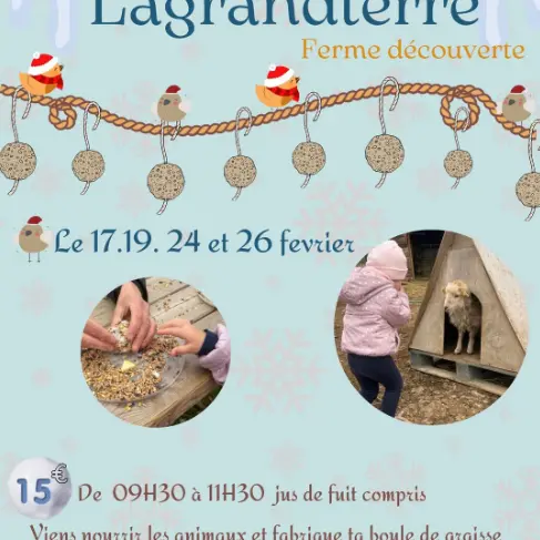 Hiver à la ferme : Visite de la ferme Lagrandterre_Bédoin