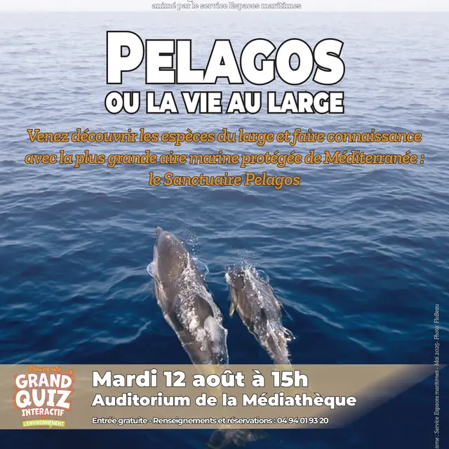 Diaporama interactif : Pelagos ou la vie au large_Cavalaire-sur-Mer