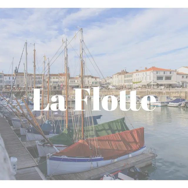 Découverte Nature : les champignons à la Grainetière_La Flotte