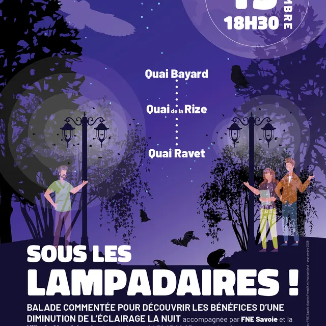 Sortie sur le terrain : Sous les lampadaires !_Chambéry