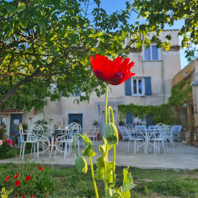 Ferme Constantin