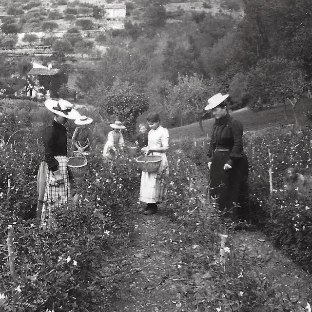 Visite de la passion - parfumeries de SEILLANS - Chemins parfumés UNESCO_Seillans