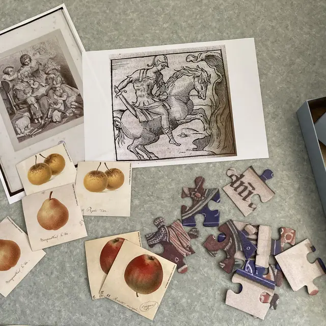 Jeux et coloriages_Bourg-en-Bresse