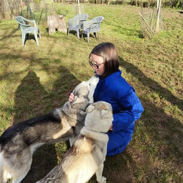 Moment calin avec les chiens au chenil des Granges de Heidi