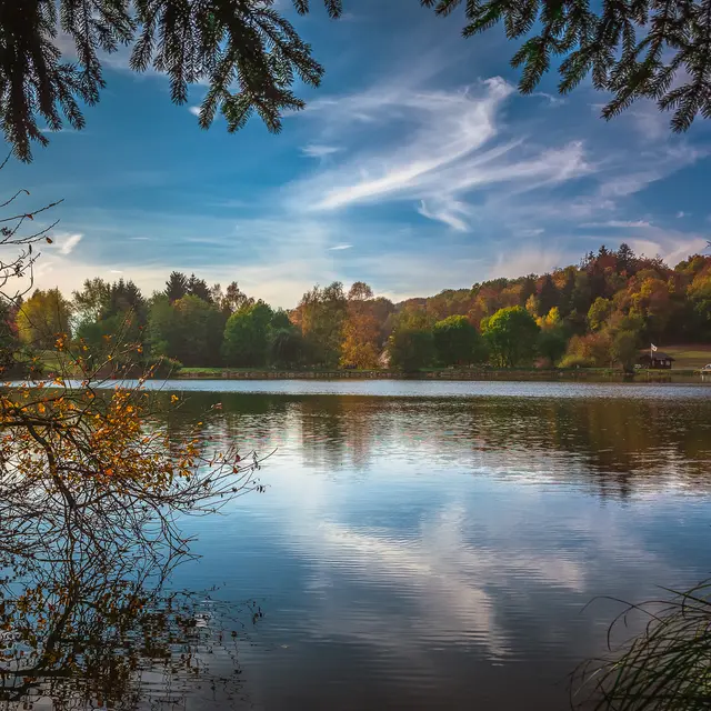 Parc des Dronières