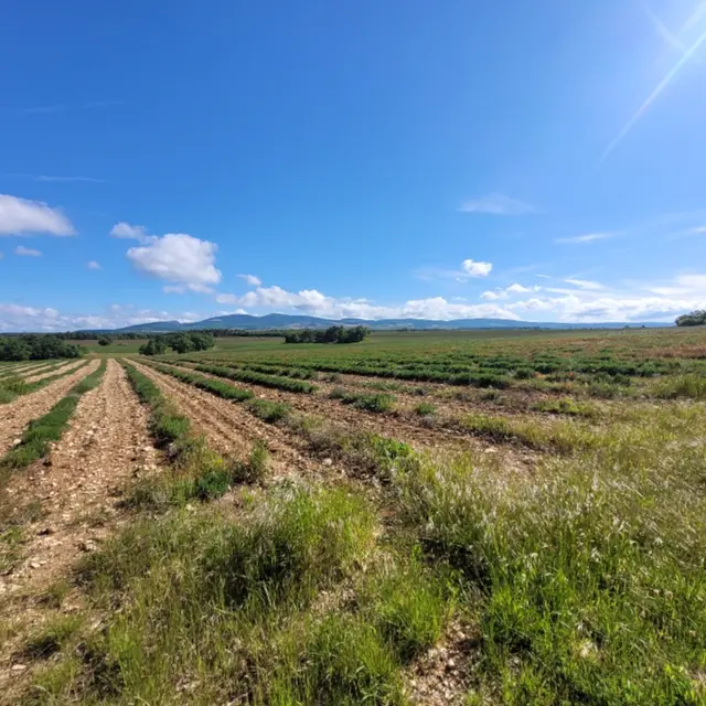 Les randos d'Iza_Sault