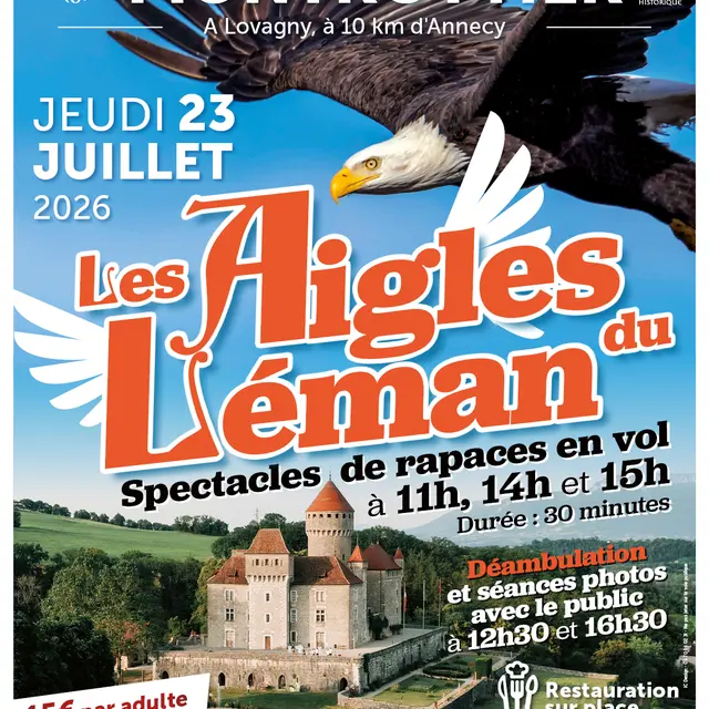 Spectacles de rapaces en vol