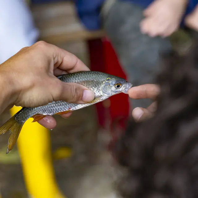 Atelier pêche - Découverte au lac du Tordre_Léojac