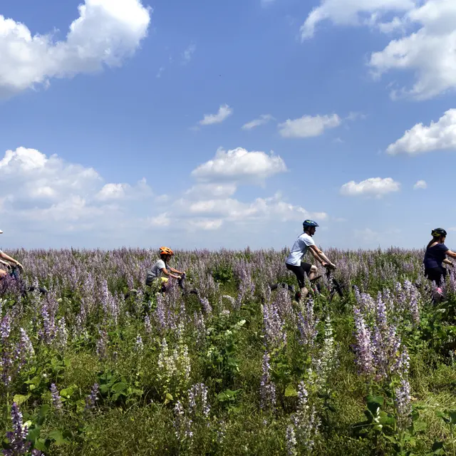 Circuit VTT 42 Provence Verdon
