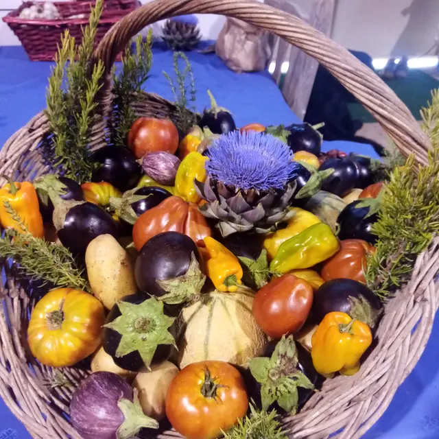 Domaine du Val de Camps - Brignoles