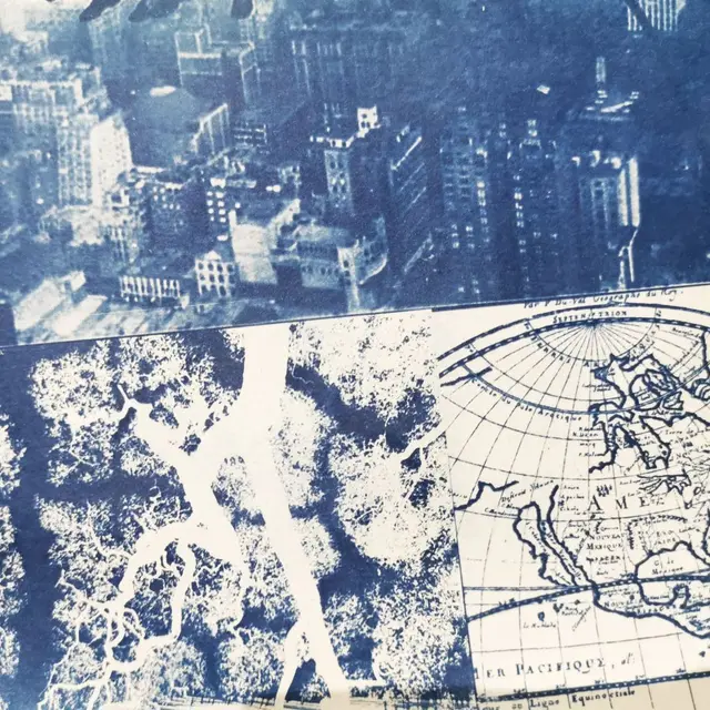 Atelier : Découverte du cyanotype_Valence
