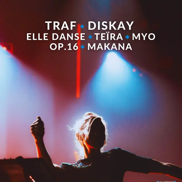 Bruit bleu festival_Annecy