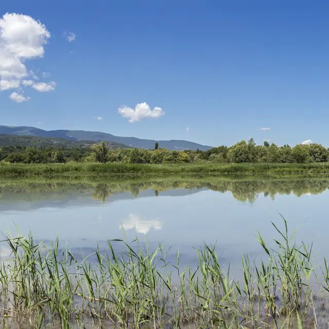 Panorama du Lac de l'Escale_L'Escale