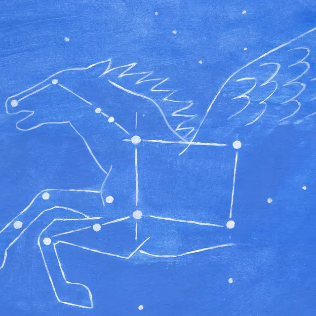 Des étoiles plein les yeux - été 2025_Marseille