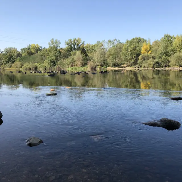 Fête du fleuve Loire_Saint-Just Saint-Rambert