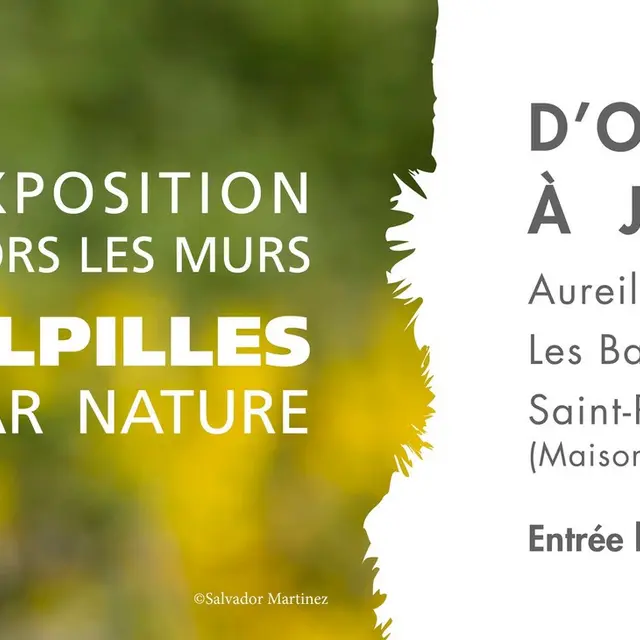 Exposition hors les murs : Les Alpilles par nature_Aureille_10.2025 à 06.20266