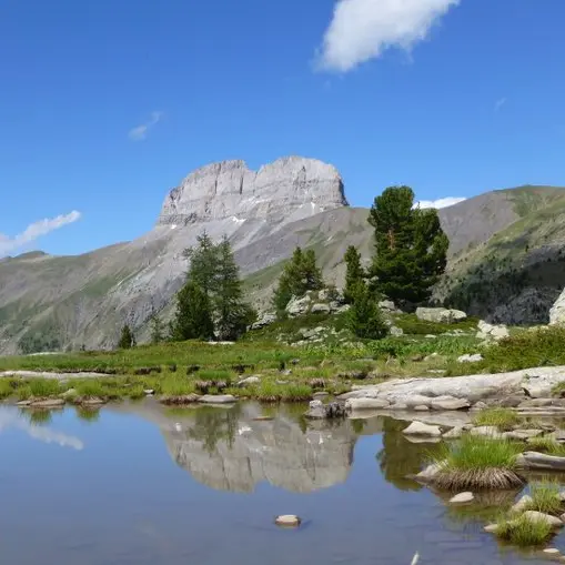 La Grande Séolane - La Grande Séolane - SA - CD Alpes de Haute-Provence