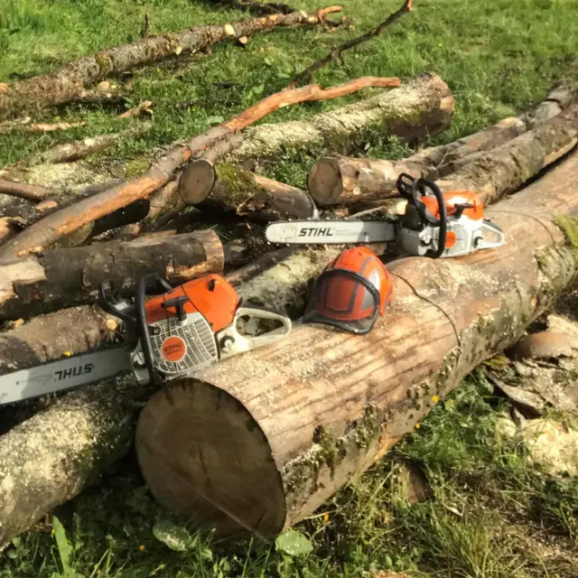 Bûcheronnage et Bois de Chauffage - Benoit Chabert_Villard-de-Lans