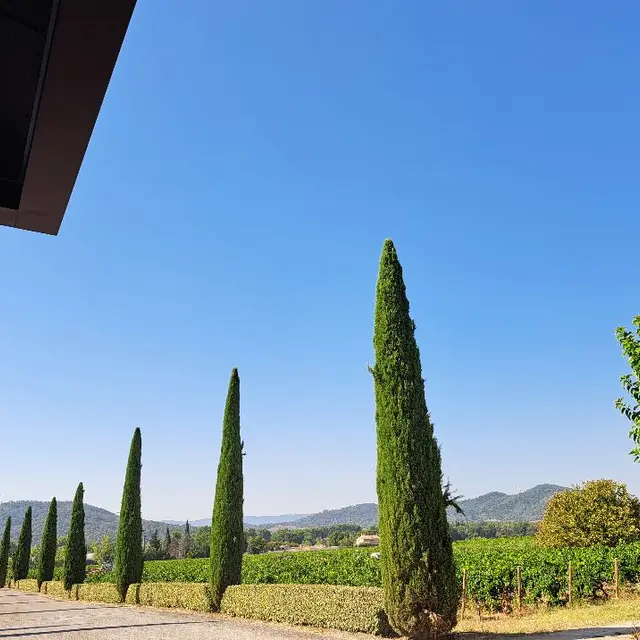 Château Saint Pierre_Les Arcs sur Argens