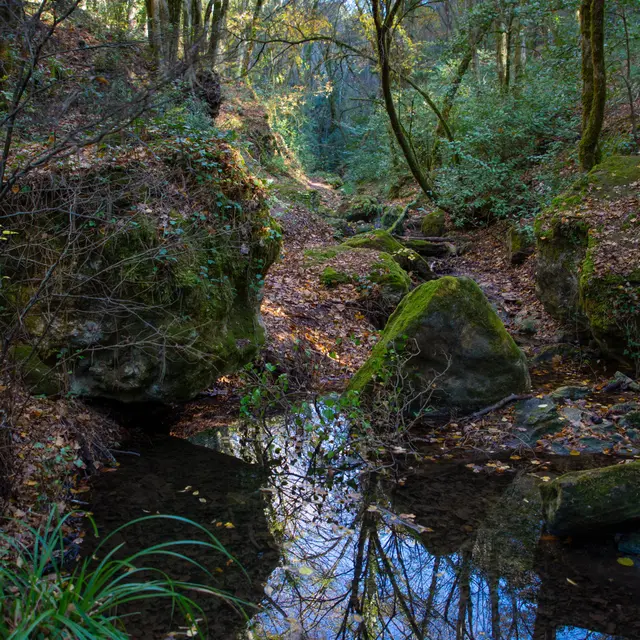 Promenade : Cascade de Gourbachin - Bagnols-en-forêt_Bagnols-en-Forêt