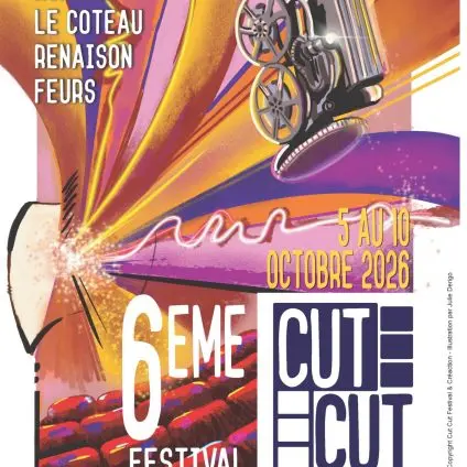 6ème Cut cut festival_Roanne