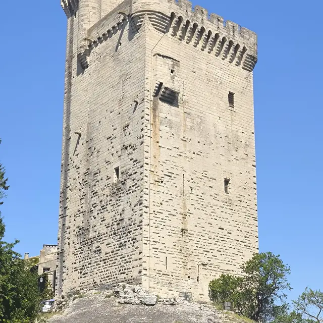 Il était une fois : un roi, une tour, une histoire_Villeneuve-lez-Avignon